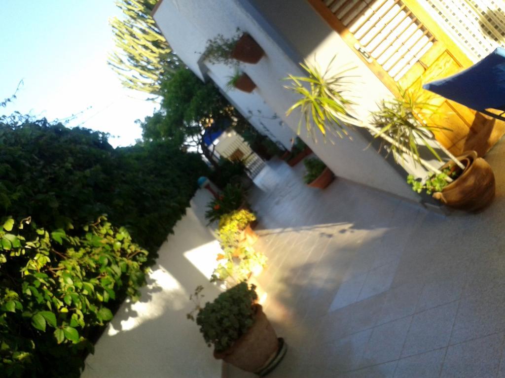 B&B Il Girasole Noto Bagian luar foto