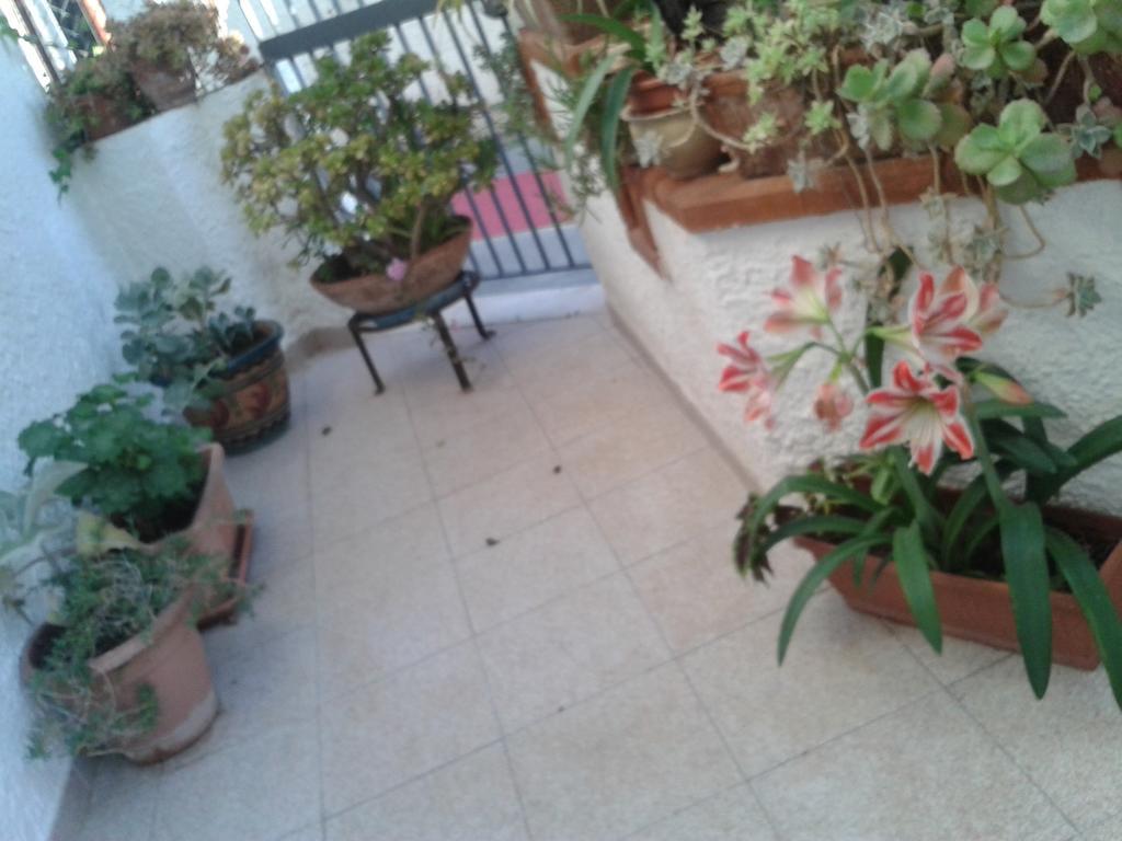 B&B Il Girasole Noto Bagian luar foto