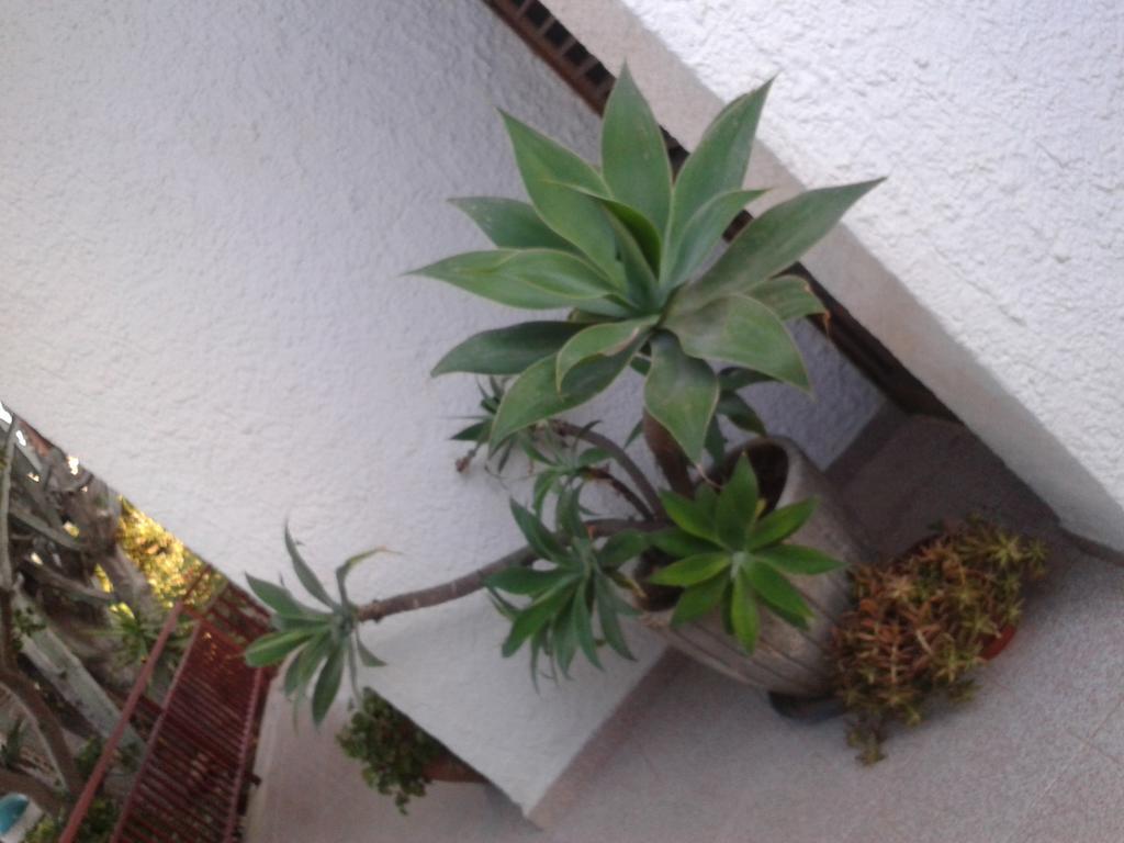B&B Il Girasole Noto Bagian luar foto