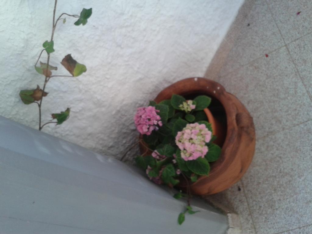 B&B Il Girasole Noto Bagian luar foto